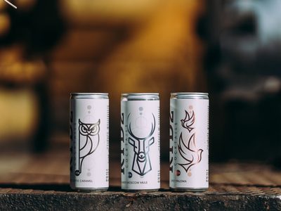 No tires las latas de gaseosa y transformalas en estos maceteros colgantes soñados para tus suculentas