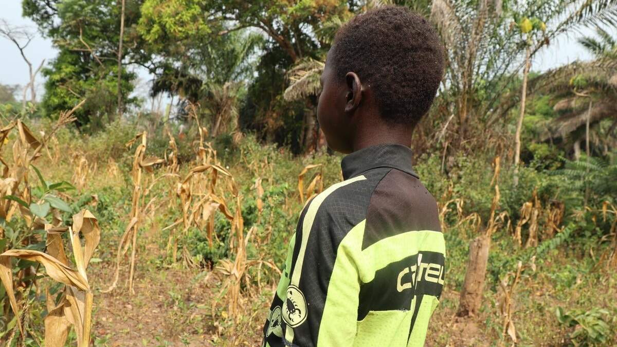 46 países reclutan a niños y niñas menores de 18 años