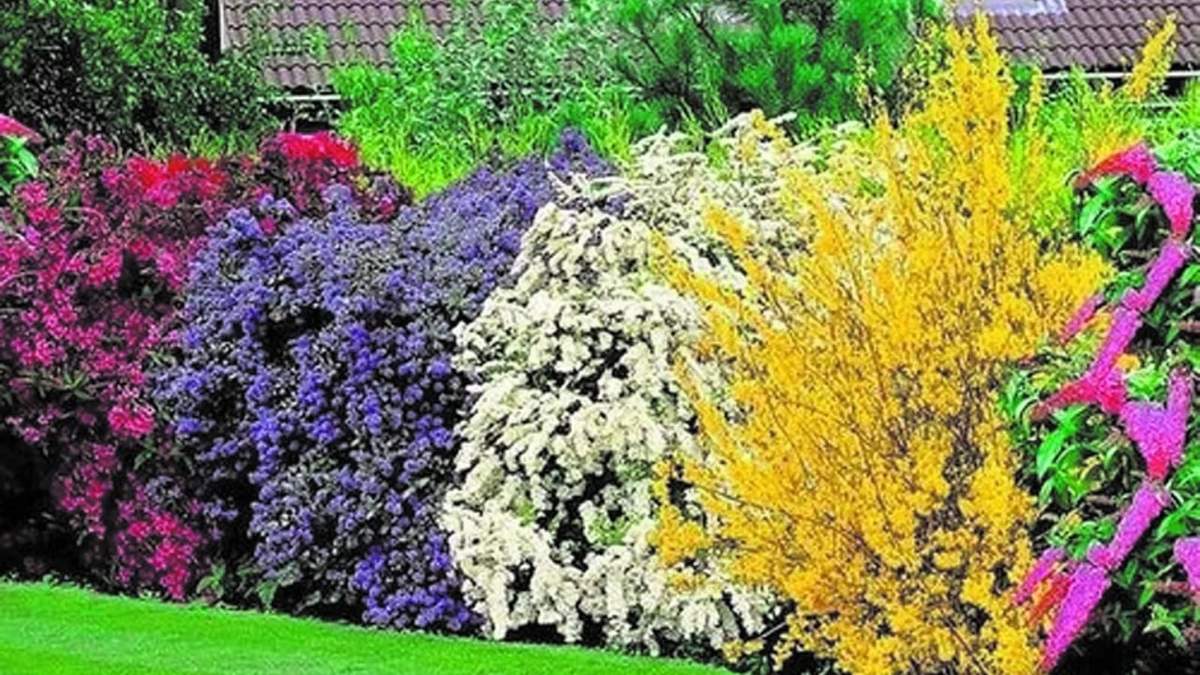 Plantas. Fuente: (Instagram)