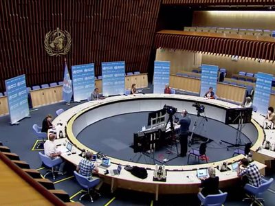 La OMS se reúne este viernes para analizar la nueva variante B.1.1.529, detectada en Sudáfrica