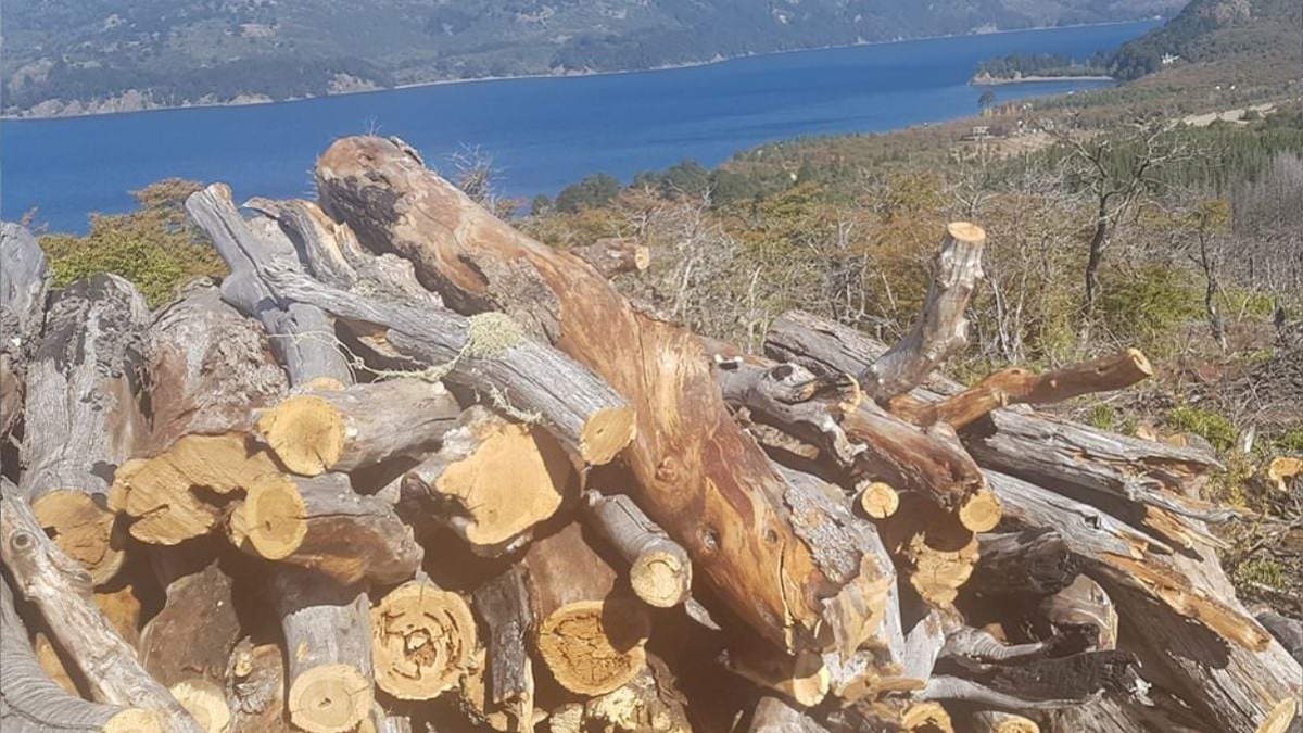 Entregas en el marco del Operativo Leña Invierno 2020.