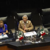 Sánchez Cordero cierra la puerta a grupo plural en el Senado: “es jurídicamente imposible”