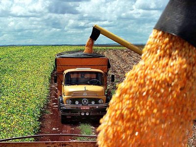 El Gobierno simplificó el traslado de granos con menos trámites