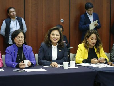 Diputados del PRI critican iniciativa de Sheinbaum que centraliza datos biométricos
