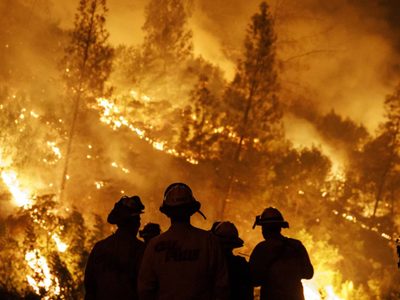 Misterio por los incendios: Chubut fijó una recompensa millonaria
