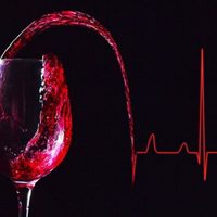 Charlas sobre vino organizadas por la Cámara de Vinotecas