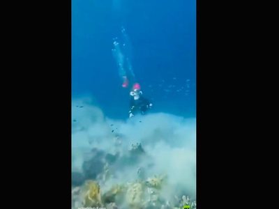 Inédito: Buzos captan un terremoto de magnitud 7.1 bajo el mar (Video)