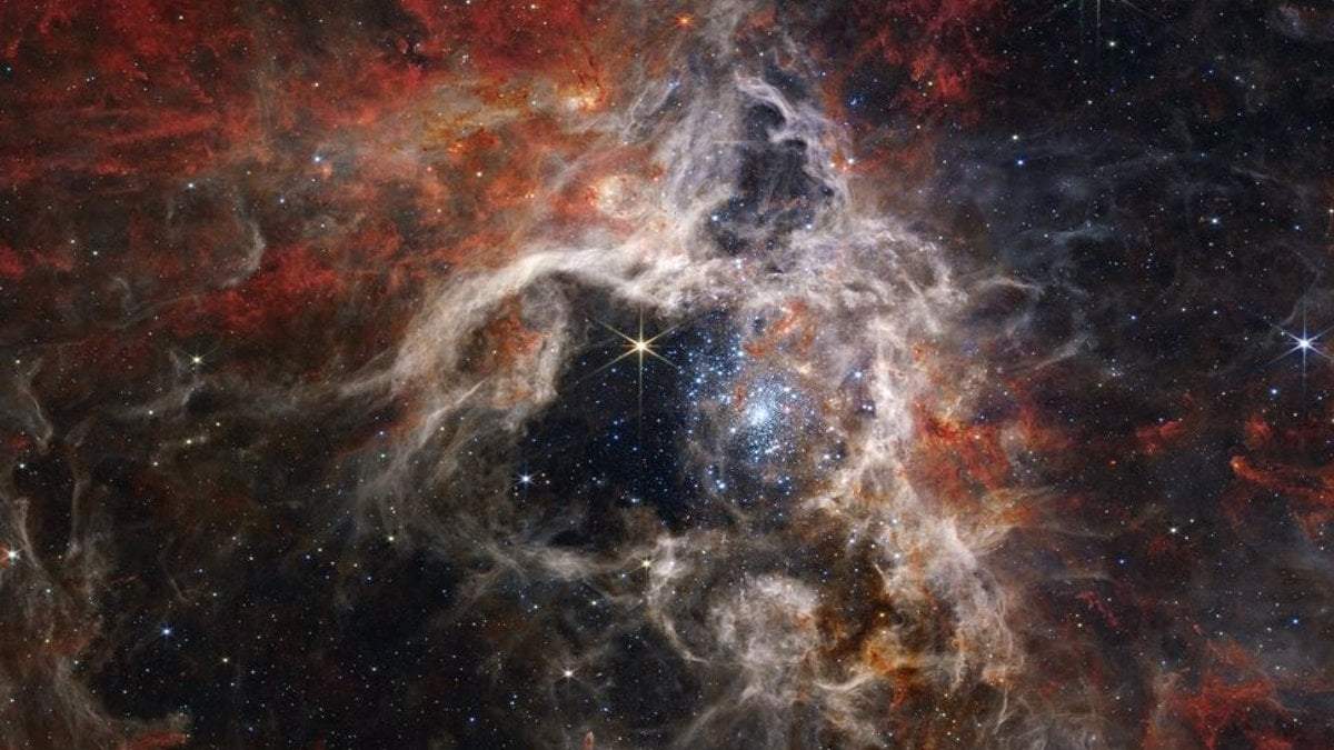 Apodada la Nebulosa de la Tarántula
