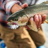 Atención, pescadores: A partir del 15 de octubre se podrá obtener el permiso de pesca en Neuquén
