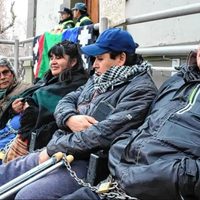Sigue el reclamo de comunidades mapuche en Neuquén y ahora llevaron caballos a Casa de Gobierno