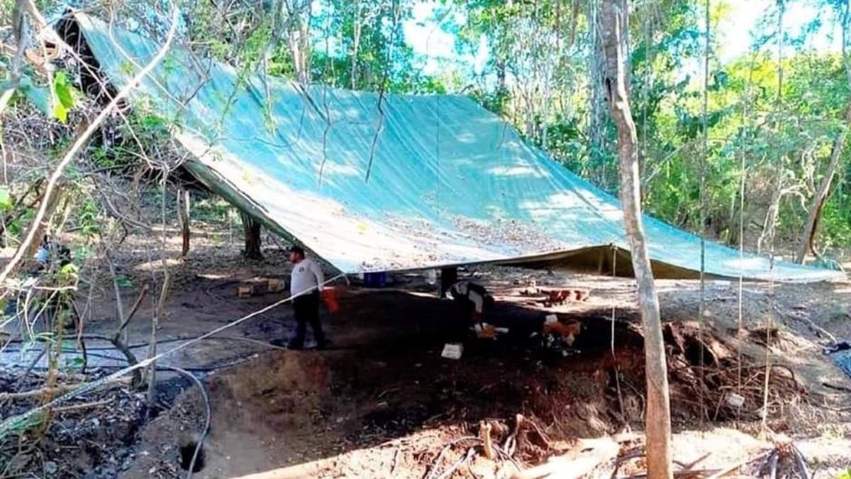 La Guardia Nacional desmanteló un narcolaboratorio en Petatlán