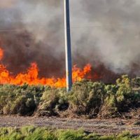 Un incendio devoró 30 hectáreas de campo en la localidad de Añelo