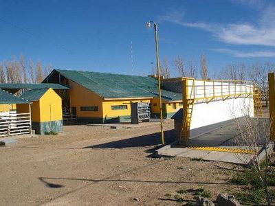 Zapala: millonarias pérdidas ante imprevisto paro de trabajadores del Matadero municipal