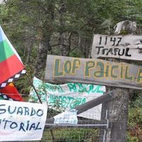 Villa La Angostura: el reclamo de la comunidad Paicil Antriao llegó a la justicia internacional