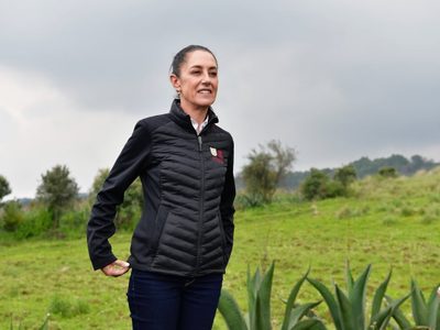 Granjas de bots impulsan la tendencia #EsClaudia en favor de Sheinbaum: análisis