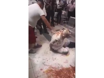 Exhiben a agentes jugando al "hombre pizza" en oficina de tránsito de Chihuahua