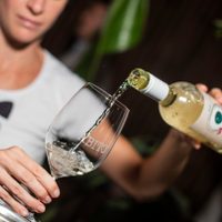 Un vino mendocino con producción sustentable