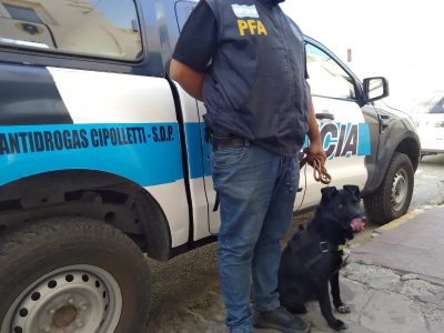 Mediante un operativo de la PFA, allanaron un kiosko narco en Cipolletti