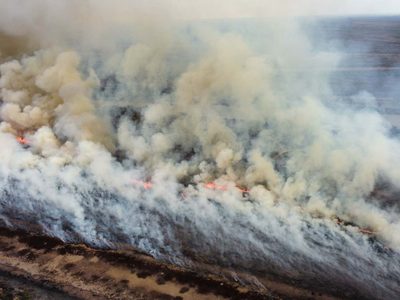 Hasta la NASA: los incendios en el Delta del Paraná pueden verse desde el espacio