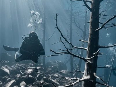 La fotógrafa que retrata el bosque sumergido del lago Traful: "Es un Disney bajo el agua"