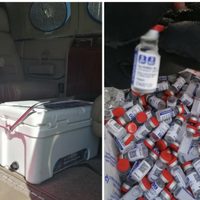 Gobierno federal ordenó liberar a implicados en contrabando de presunta vacuna Sputnik: Univision