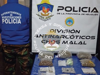Narcomenudeo: importante secuestro de marihuana y cocaína en Andacollo