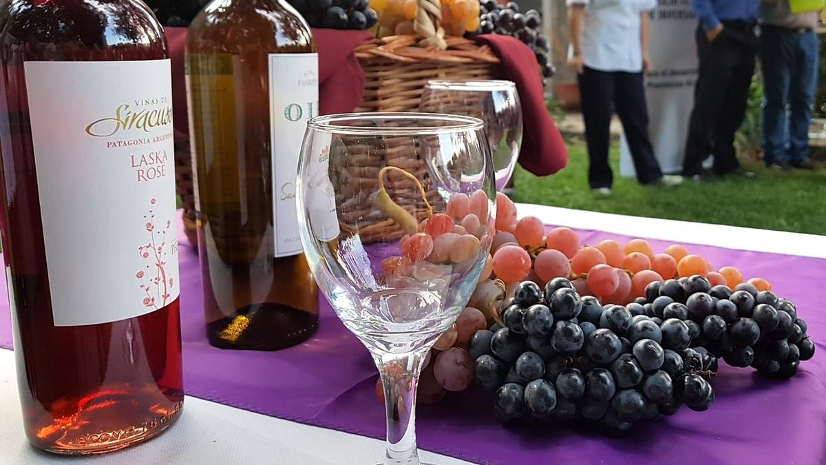 Vinos rionegrinos en la fiesta de la Vendimia. Fuente:(Twitter)
