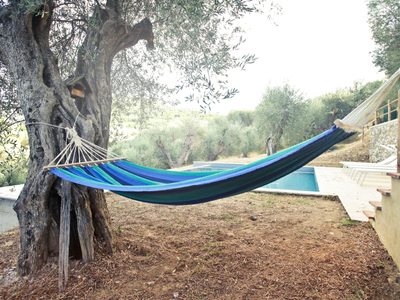 Cinco árboles ideales para jardines pequeños