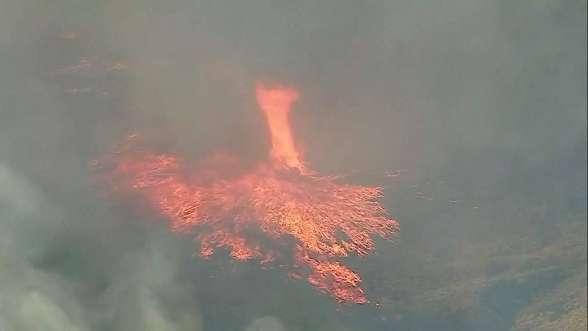 California. Fuente: (Twitter)