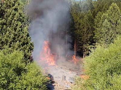 Denunciaron y detuvieron a un hombre como el responsable del incendio forestal en Chiquilihuin
