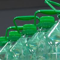 No tires los bidones de agua vacíos y úsalos para cultivar verduras en tu balcón o terraza