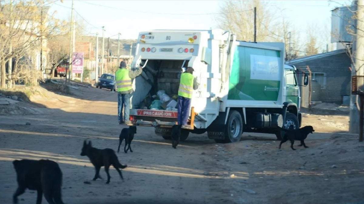 La municipalidad de Plottier busca optimizar la recolección de residuos en la ciudad. Fuente: (Facebook)