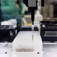 Viruela del mono: Suman 643 casos confirmados en el mundo; uno es en México