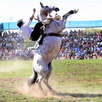 Se viene la Fiesta Nacional del Puestero en Junín de los Andes: fechas y actividades