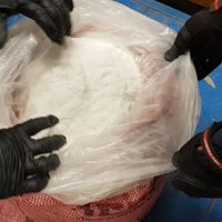Enviaban por paquetería 24 kilos de cocaína de Tapachula a Tijuana