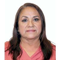 Carmen Medel, la diputada de Morena con triple aspiración electoral
