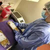 El Gobierno convoca a los recuperados del coronavirus para avanzan con el uso de plasma