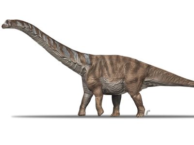 Descubrieron una nueva especie de dinosaurio en España: era excepcionalmente grande para la época
