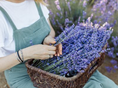 Si tenés Lavandas, sorprendé a mamá con estas originales canastitas, ideales para decorar y perfumar los cajones