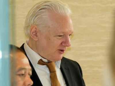 "Soy libre porque me declaré culpable de hacer periodismo": Julian Assange en el Consejo de Europa