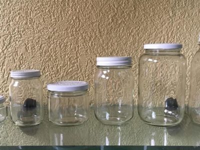 No tires los frascos de mermelada vacíos: creá este hermoso florero para tus plantas de agua