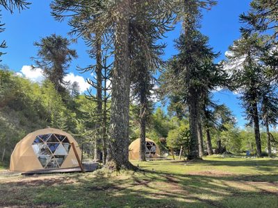 Dormir junto al lago en Villa Pehuenia: el glamping que apuesta al bienestar y la naturaleza