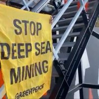 Minería en aguas profundas: La codicia amenaza el último refugio oceánico