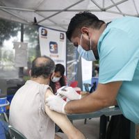 El PAMI comenzó a vacunar contra la gripe: cómo solicitar un turno