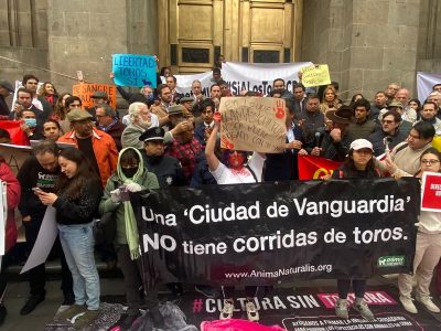 Estos fueron los argumentos de la SCJN para reactivar las corridas de toros
