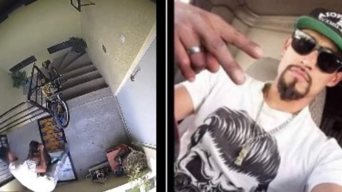 Javier “N” golpeó y arrojó del tercer piso a una perra de ocho meses llamada Enedina