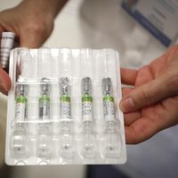 Esta semana se inicia la aplicación de la vacuna contra la gripe A
