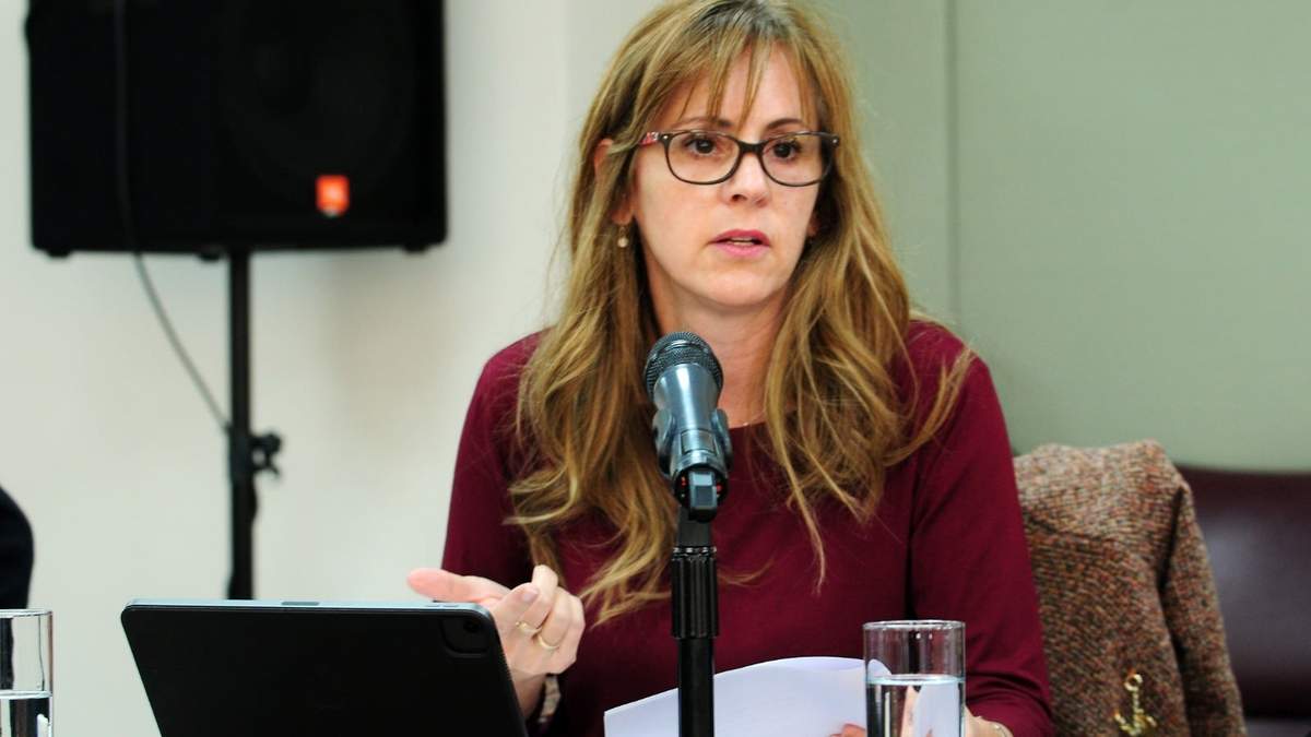 La diputada Parrilli alarmada por el proyecto que busca el mantenimiento de las rutas a Vaca Muerta.
Fuente: Prensa UxP