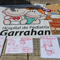 El Gobierno promulgó las leyes de emergencia pediátrica y financiamiento universitario, pero frenó su ejecución