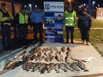 Secuestraron casi 100 truchas arco iris durante un control en Piedra del Águila